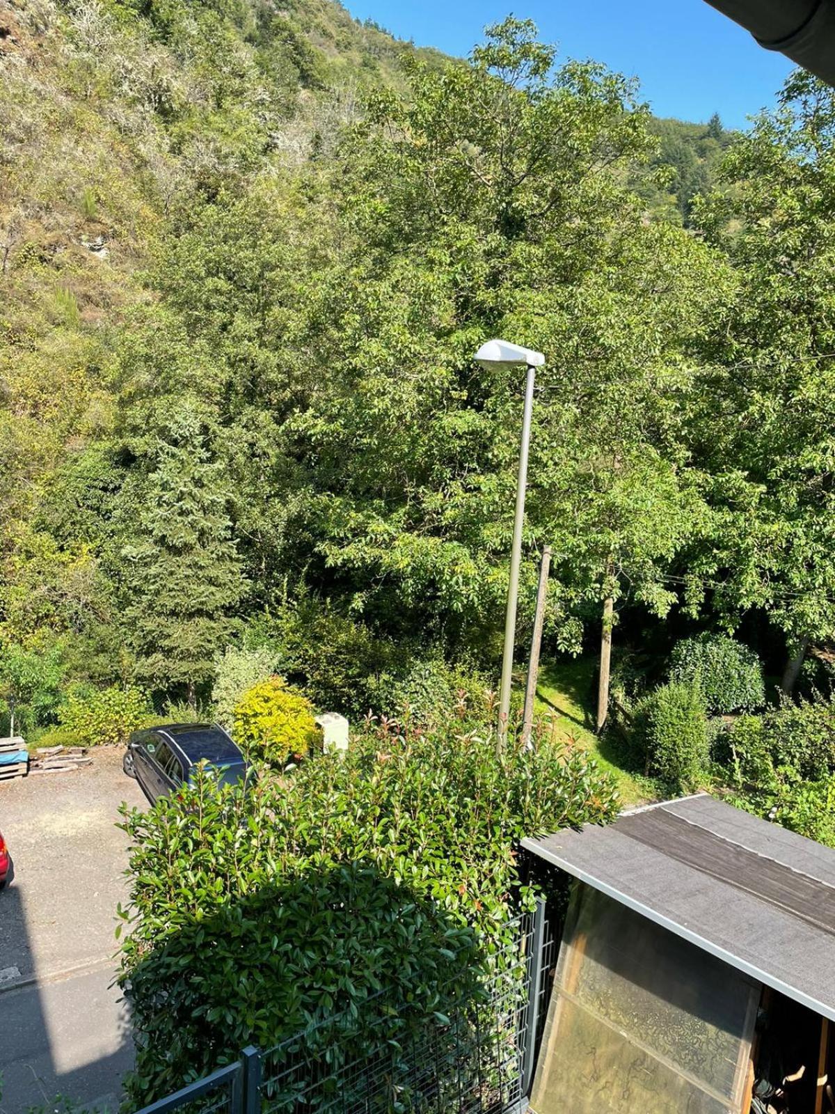 Deni'S Ferienwohnungen Klotten Bagian luar foto