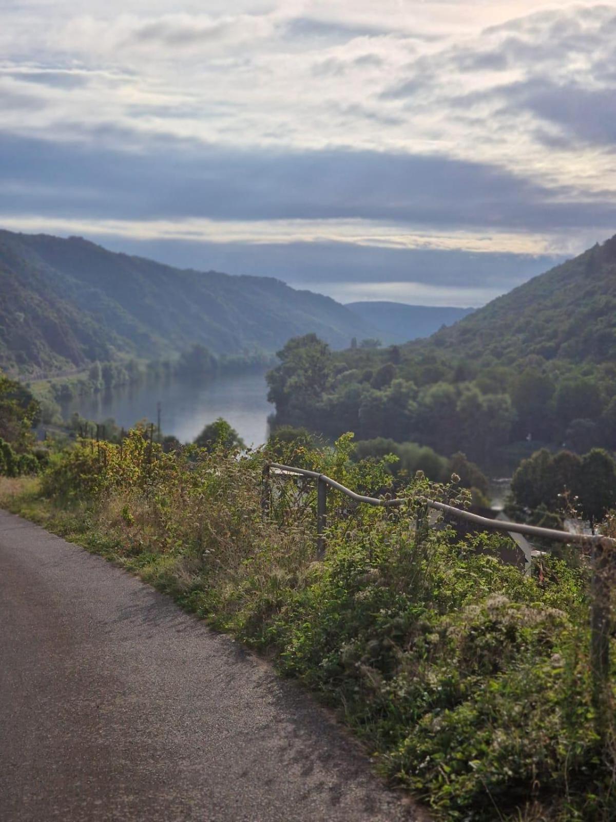 Deni'S Ferienwohnungen Klotten Bagian luar foto