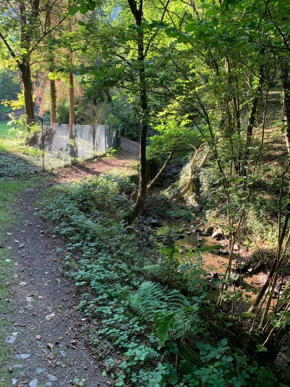 Deni'S Ferienwohnungen Klotten Bagian luar foto