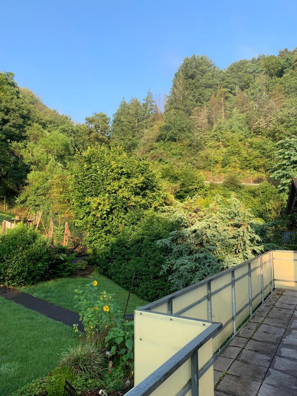 Deni'S Ferienwohnungen Klotten Bagian luar foto