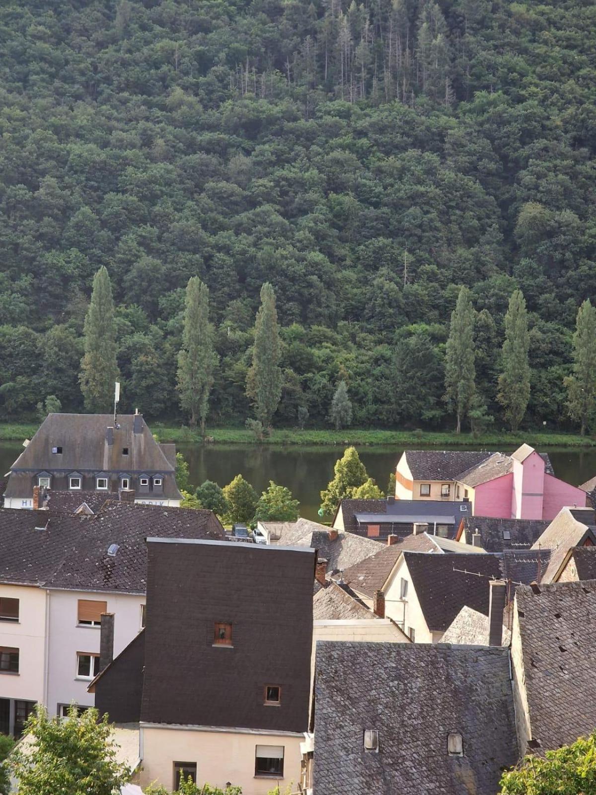 Deni'S Ferienwohnungen Klotten Bagian luar foto