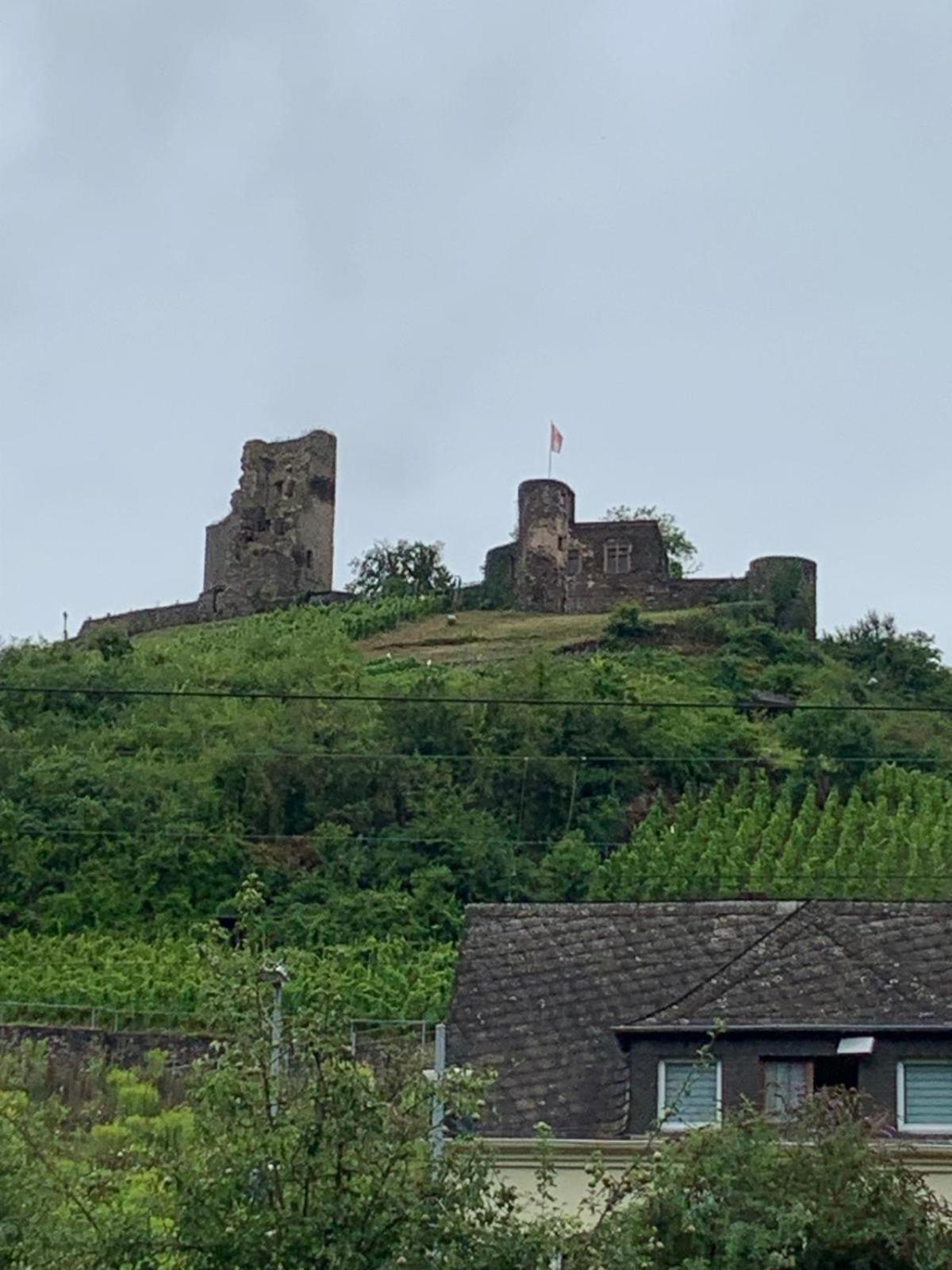 Deni'S Ferienwohnungen Klotten Bagian luar foto