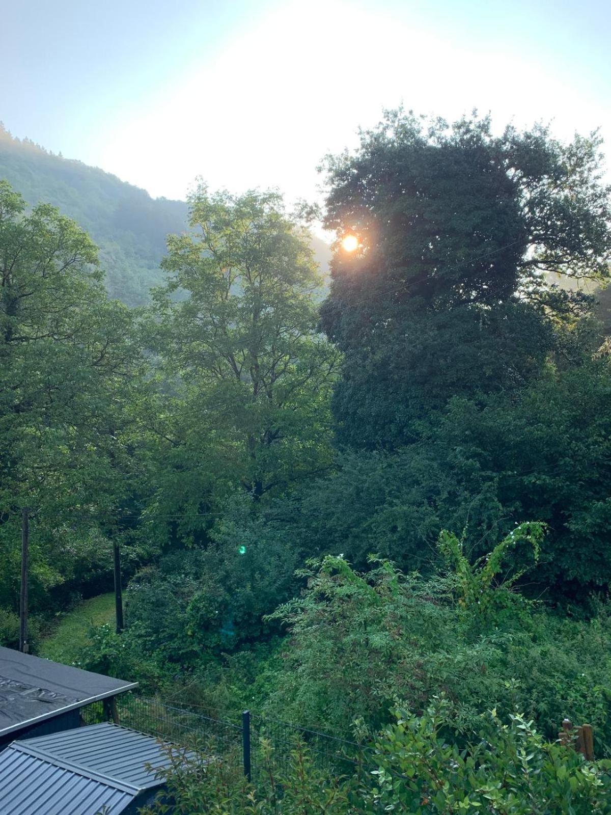 Deni'S Ferienwohnungen Klotten Bagian luar foto