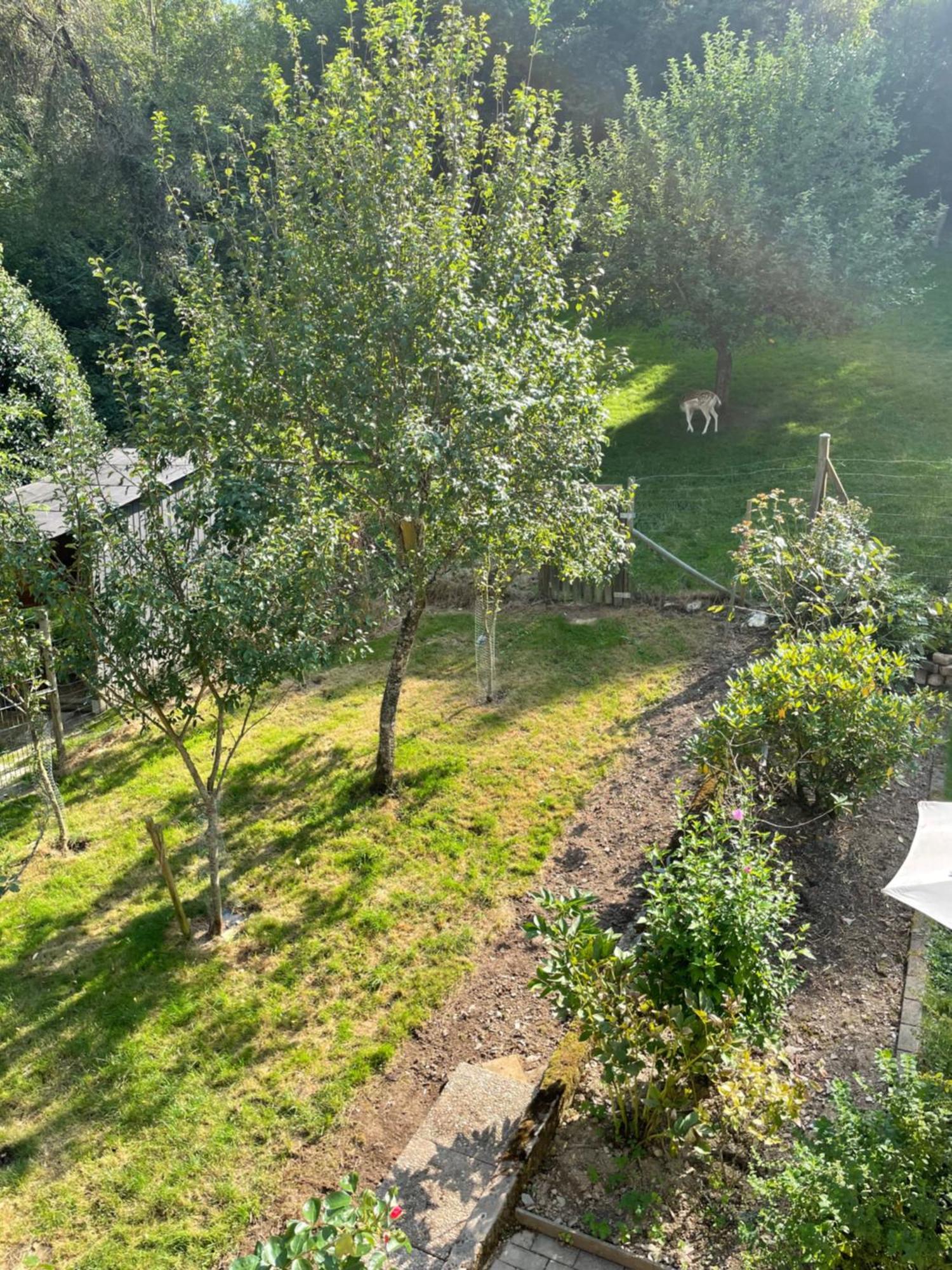 Deni'S Ferienwohnungen Klotten Bagian luar foto